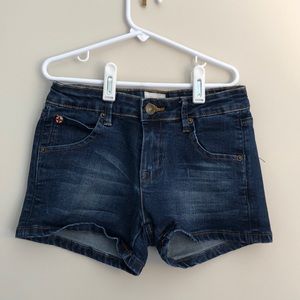 Hudson Denim Shorts